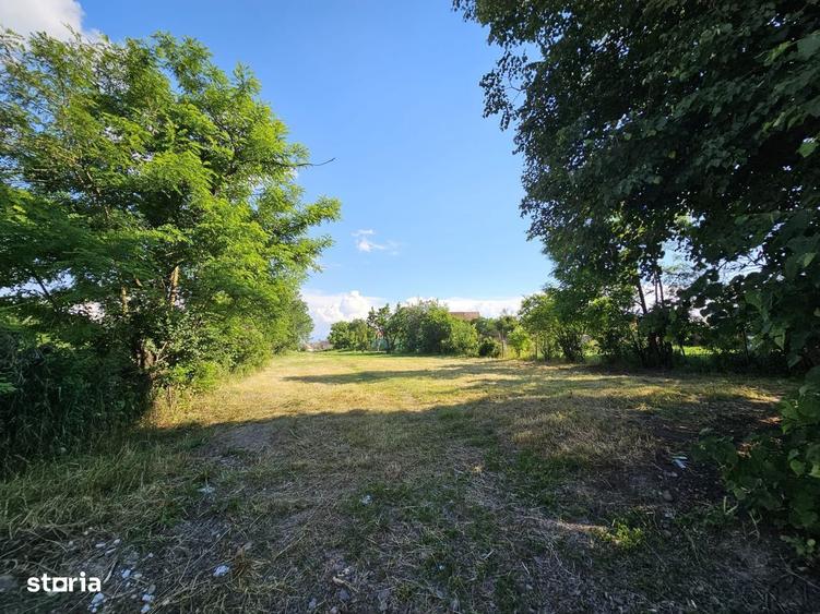 Teren de 1251 mp, în Rotbav