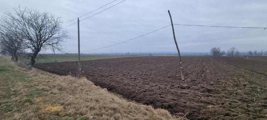 Teren Construcții intravilan de 2.3099999427795 mp, în Bucecea