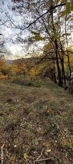 Teren de 1600 mp, în Brebu