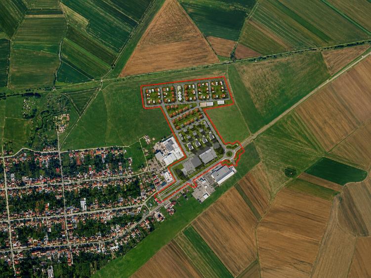 Teren Construcții intravilan de 9909 mp, în Remetea Mare