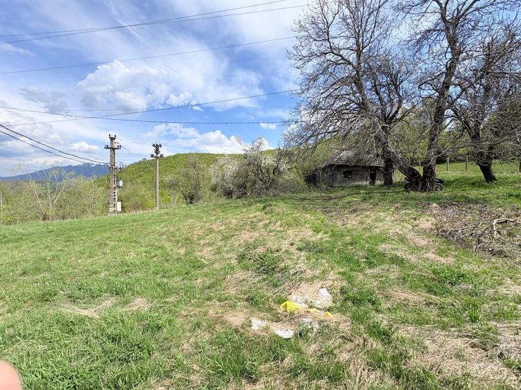 Teren Construcții intravilan de 1100 mp, în Moieciu de Jos