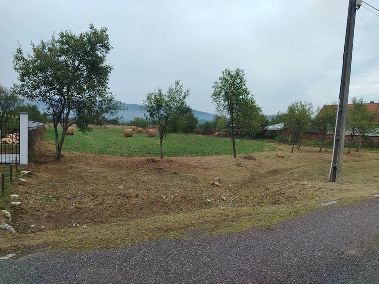 Teren de 3080 mp, în Căprioara