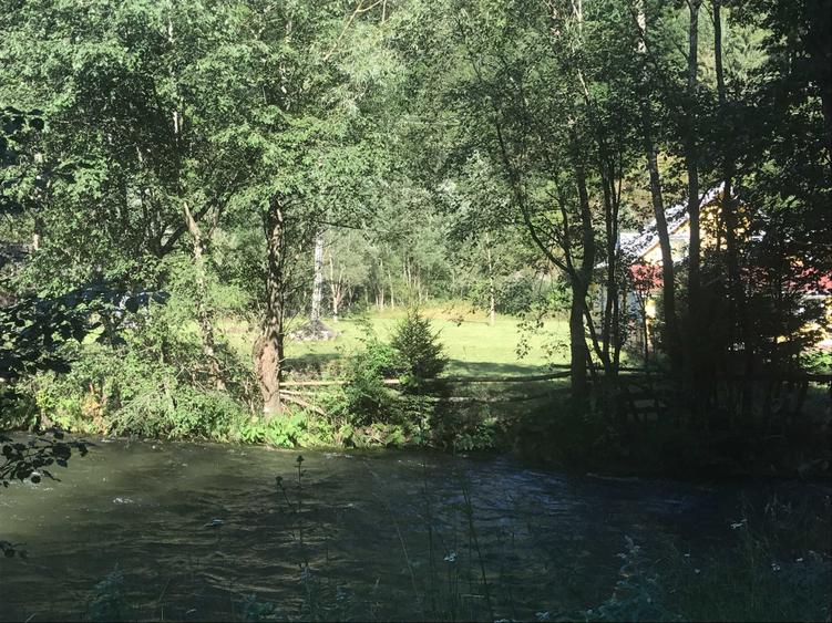 Teren de 2694 mp, în Sătic