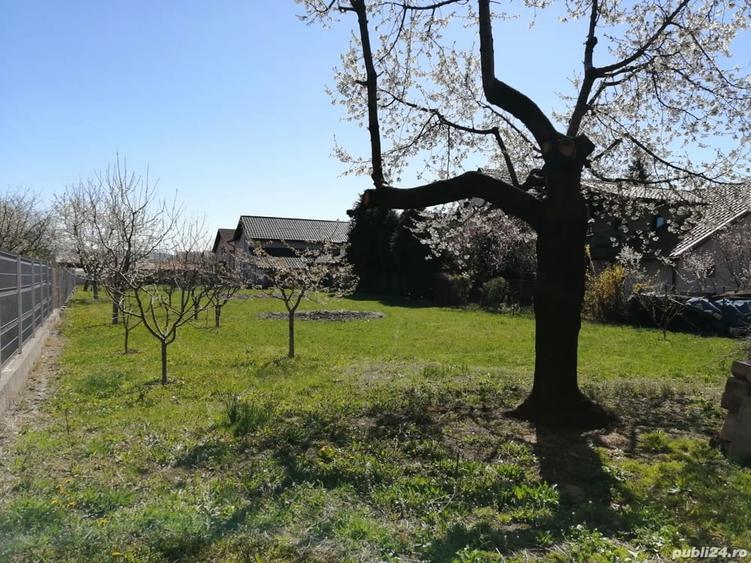 Teren de 1400 mp, în Central