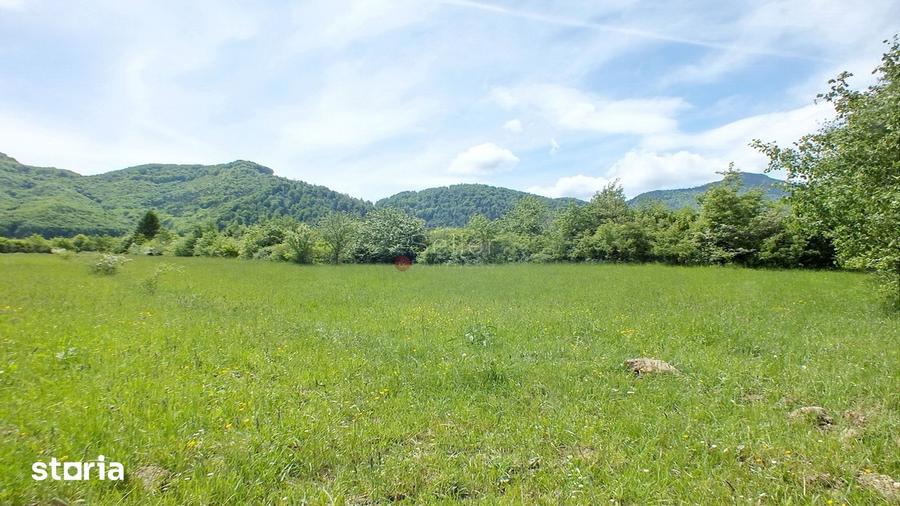 Teren de 2900 mp, în Zărnești