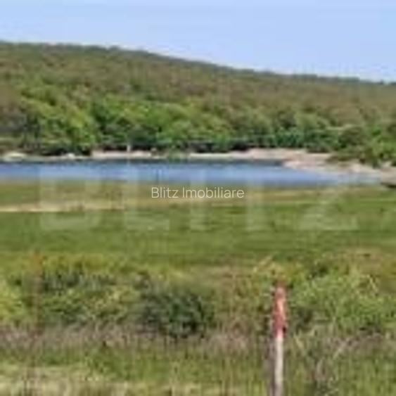 Teren de vanzare, 5000 mp, zona Sauaieu