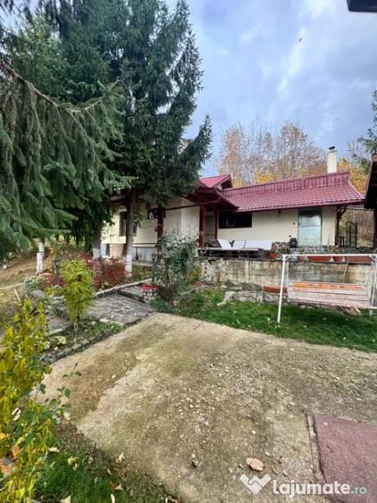 Casă cu 4 camere cu Teren 1527 Mp în Tăuții de Sus