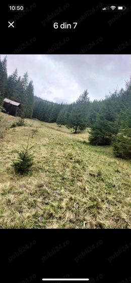 Teren de 34600 mp, în Cârlibaba