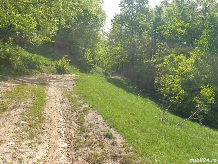 Teren de 1000 mp, în Dâmbovicioara