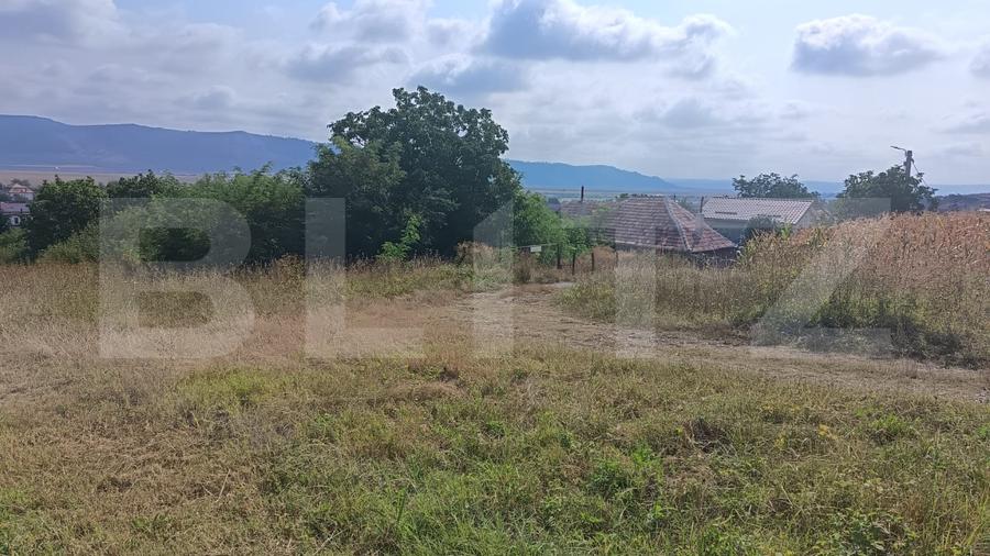 Teren Construcții intravilan de 2358 mp, în Luna