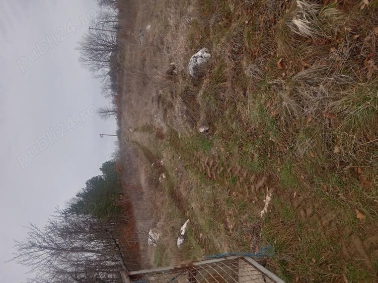 Teren în Cârșie