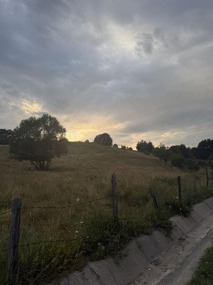 Teren de 3000 mp, în Bumbești-Pițic