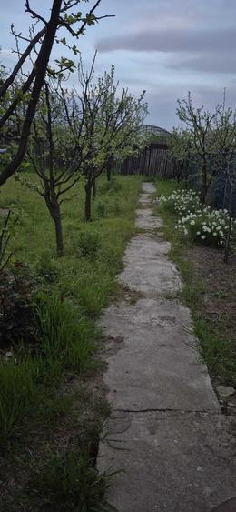 Casă cu 3 camere în Comana