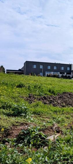 Teren Construcții intravilan de 10300 mp, în Corbeanca