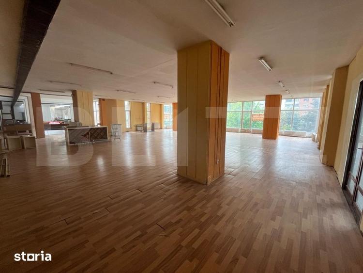 Spațiu comercial, de 467 mp, în Rogerius