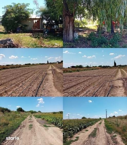 Teren extravilan Adunatii Copaceni, ID: R3345028 - 9
