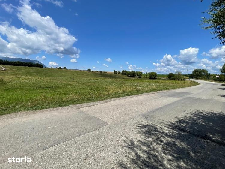 INVESTI?IE | Teren 5000 mp PUZ APROBAT intravilan - zona Sohodol -Bran - 8