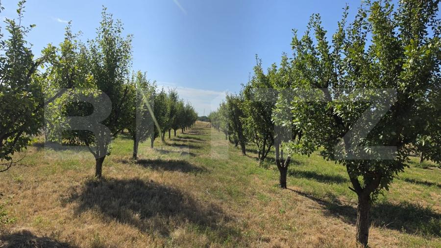 Casă individuală cu 4 camere cu Canalizare în Sud