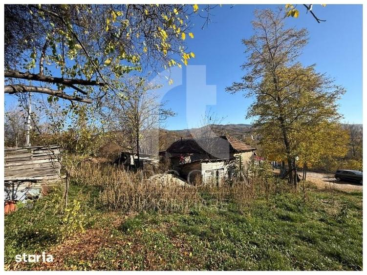 Teren de 3250 mp, în Cozieni