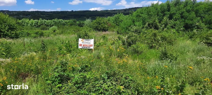 Teren de 2800 mp, în Osoi