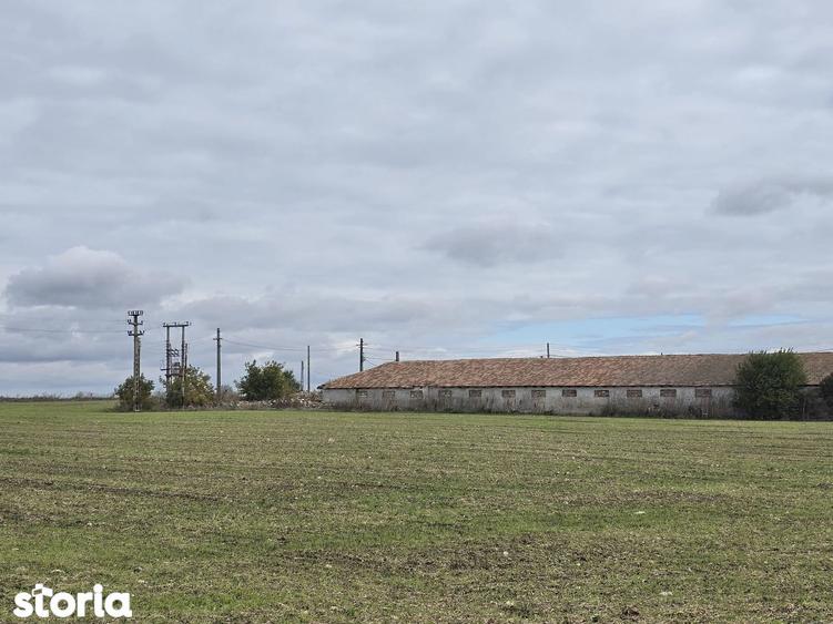 Comuna Amzacea- sat G.Scari?oreanu -Ferma zootehnica , teren 5,1ha - 5