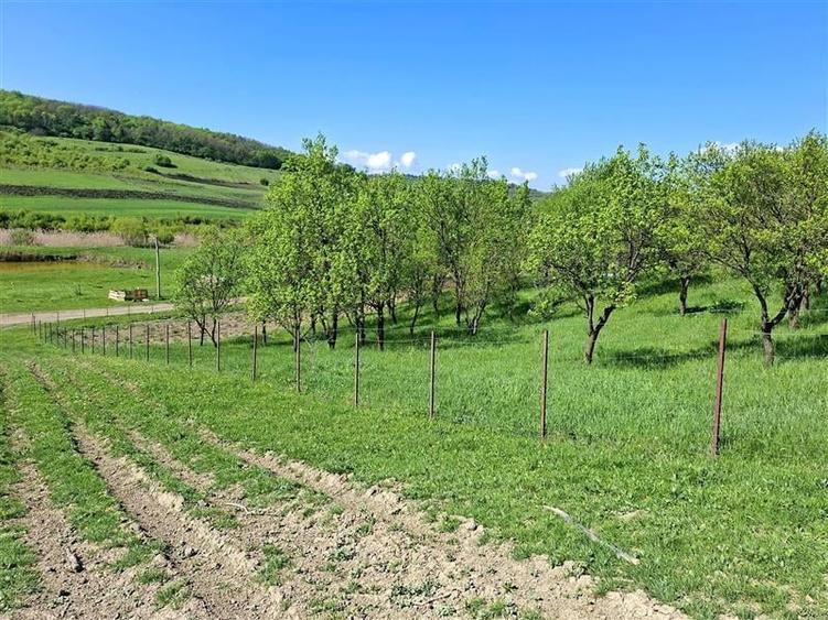 Teren Construcții intravilan de 1900 mp, în Iclozel