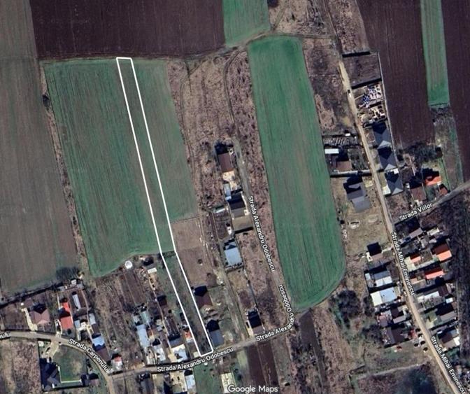 Teren Construcții intravilan de 3384 mp, în Periș