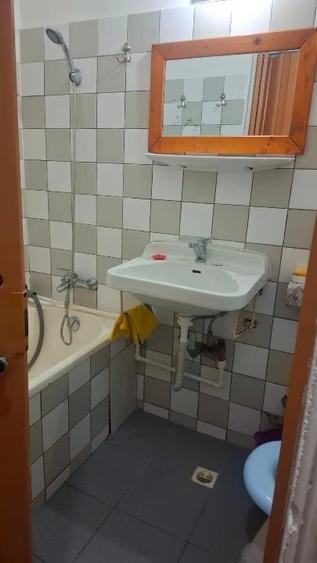 Garsonieră, mobilată în Buziașului