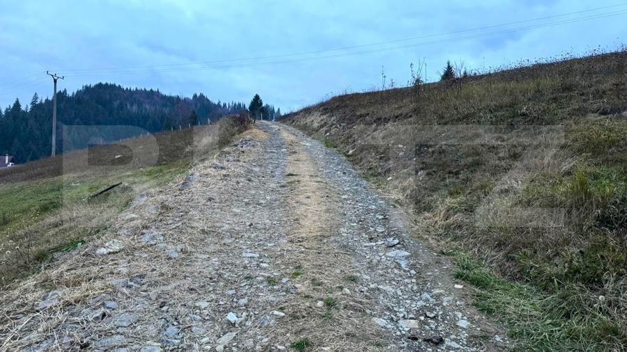 Teren Construcții intravilan de 2500 mp, în Colibița