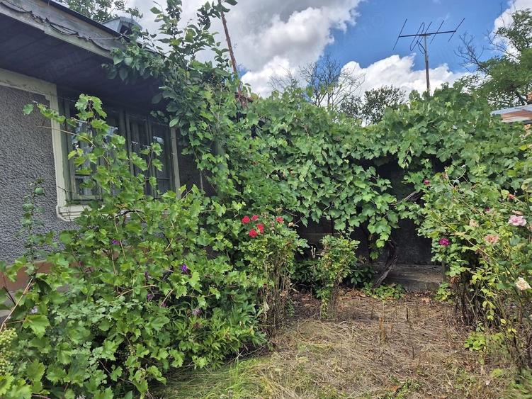 Casă cu Teren 5867 Mp în Vârlezi