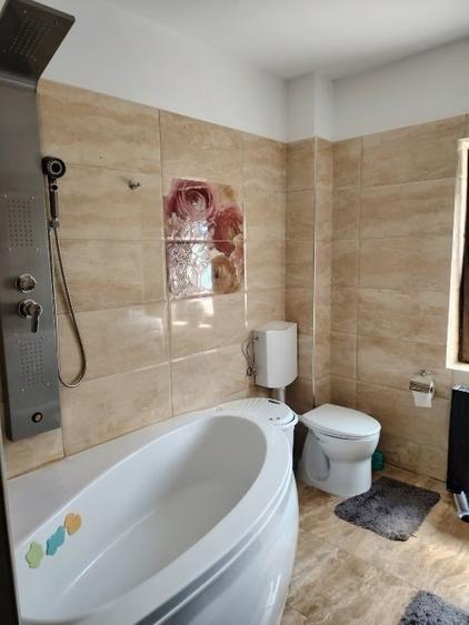 Apartament cu 2 camere decomandat, mobilat în Vladimirescu
