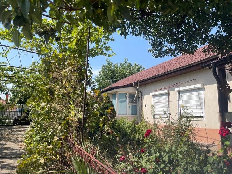 Casă individuală cu 5 camere cu Canalizare în Cobadin