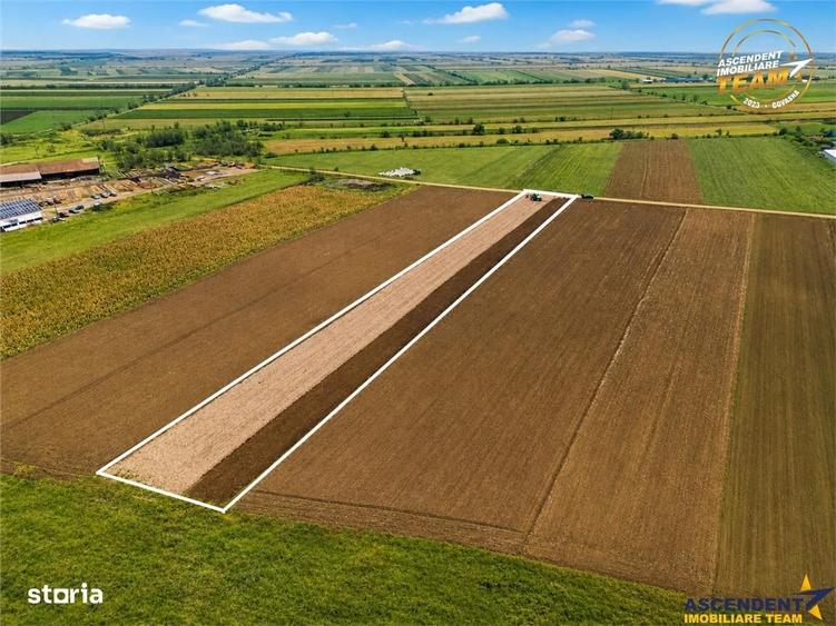 Spațiu comercial, în Central