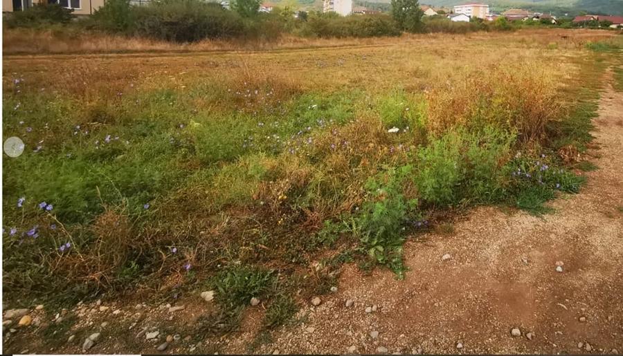 Teren de 5800 mp, în Cetate