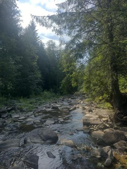 Casă cu 2 camere în Lepșa