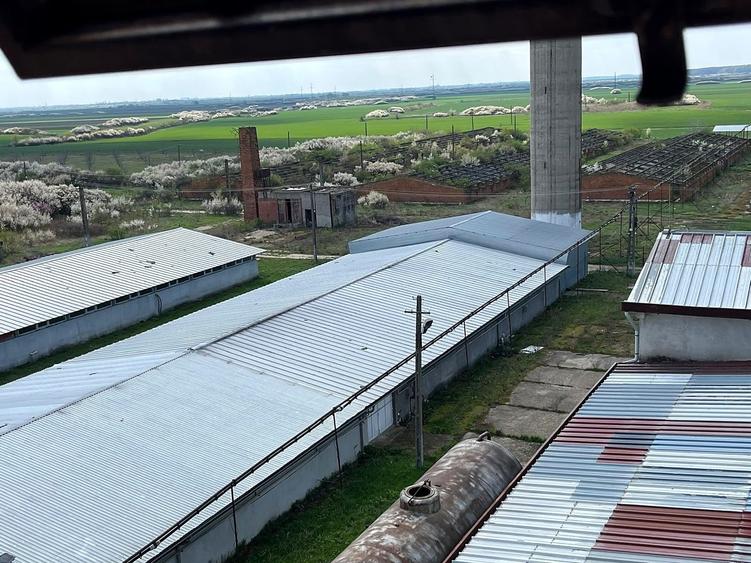 Spațiu industrial, de 4,175 mp, în Cefa