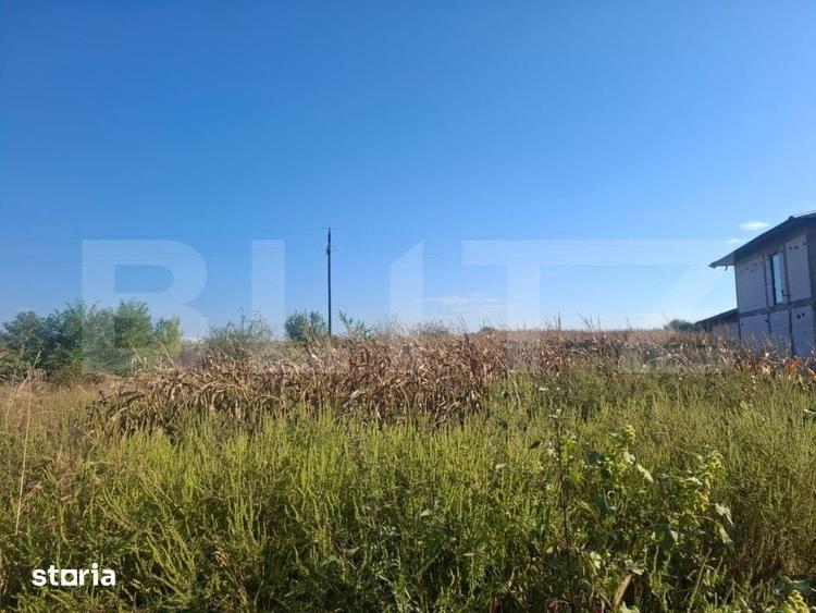 Teren de 5000 mp, în Văcărești