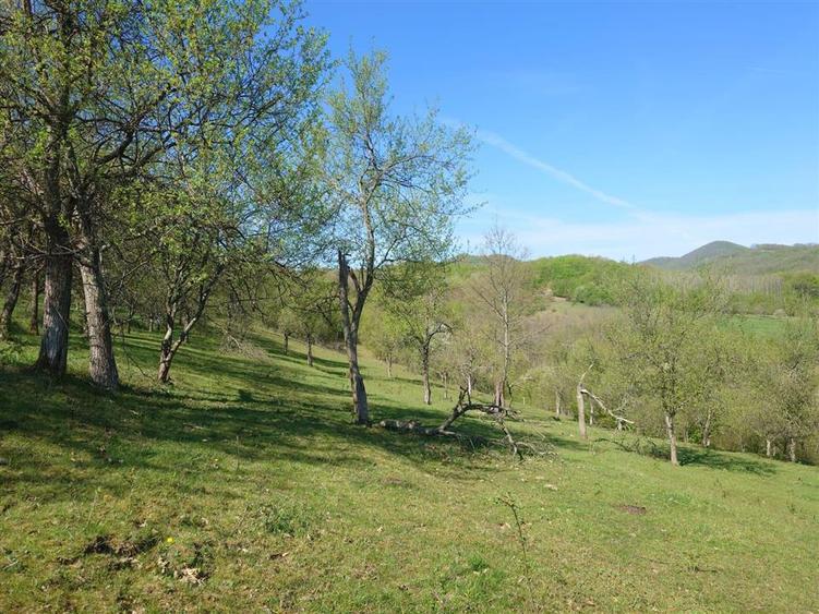 Teren intravilan de 11423 mp, în Luncoiu de Jos