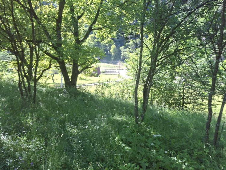 Vind teren la munte in Rau Sadului jud.Sibiu intravilan pozitie foarte buna - 7