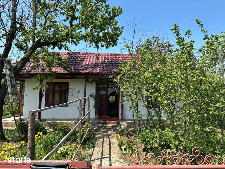 Casă cu 5 camere cu Teren 1422 Mp în Alexeni