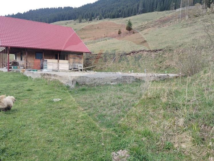Teren Construcții intravilan de 500 mp, în Cârlibaba