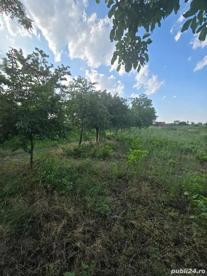 Teren de 2300 mp, în Petrești