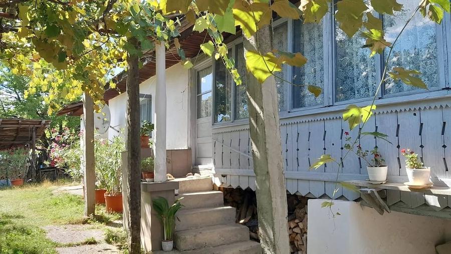 Casă cu Teren 4926 Mp în Schela