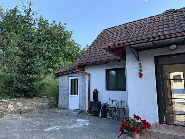 Vand casa Sura Mare - 3