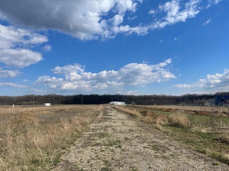 Teren de 3000 mp, în Ciolpani