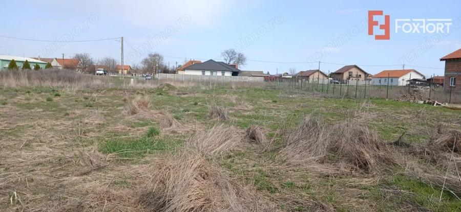 Teren de 798 mp, în Peciu Nou