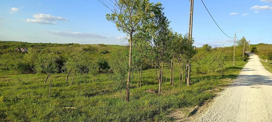 Teren de 3570 mp, în Central