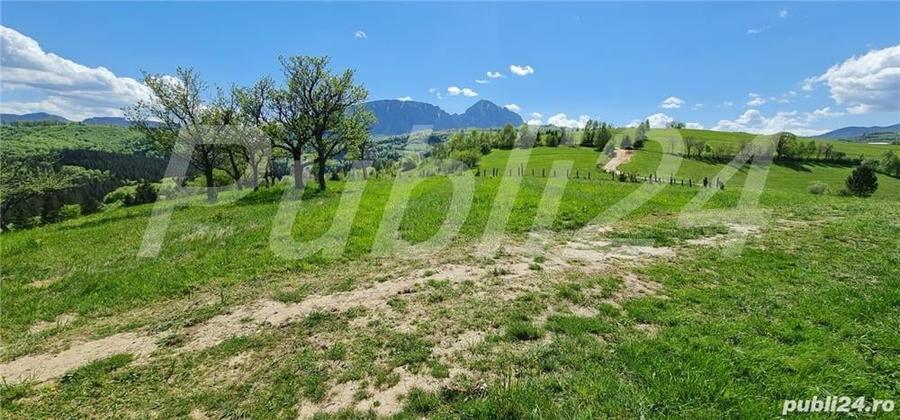 Teren de 8500 mp, în Poiana Mărului