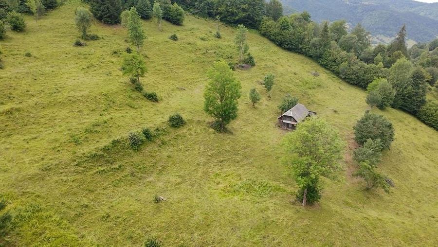 Teren de 30000 mp, în Șanț
