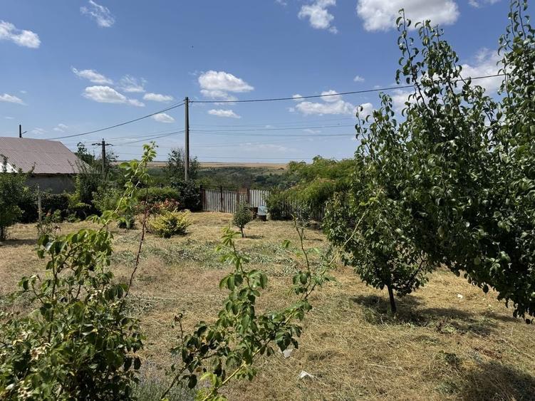 Teren de 1200 mp, în Odaia Manolache